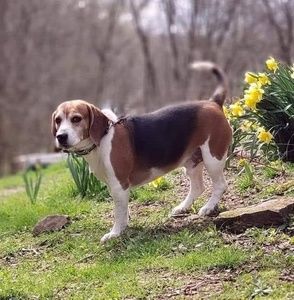 Meet your Posher, Beverly